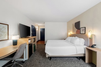 Room, 1 King Bed