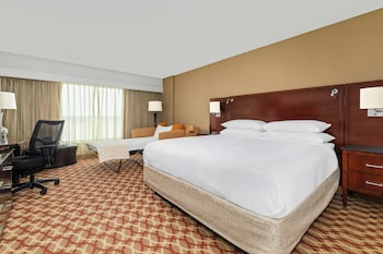 Room, 1 King Bed