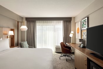 Standard Room, 1 King Bed, Accessible (Mobility Accessible)