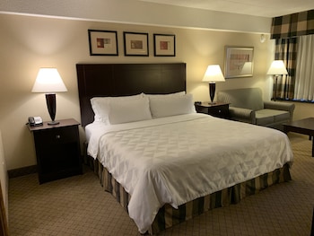 Suite, 1 King Bed
