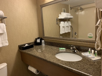 Suite, 1 King Bed