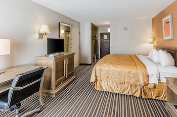 Room, 1 King Bed, Accessible, Non Smoking