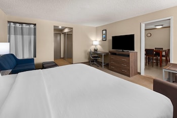 Suite, 1 King Bed, Non Smoking (Efficiency)