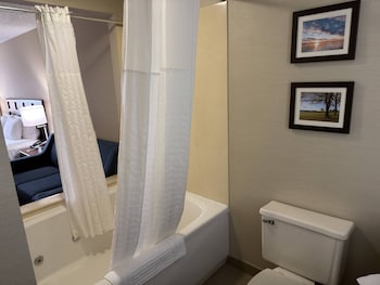 Deluxe Room, 1 King Bed, Non Smoking