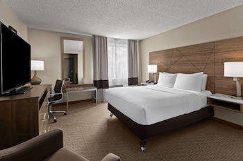 Room, 1 Queen Bed, Accessible, Non Smoking (Mobility, Roll-in Shower)