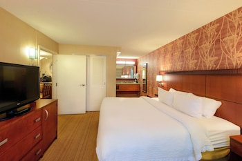 Room, 1 King Bed with Sofa bed, Hearing Accessible (Accessible Bathtub)