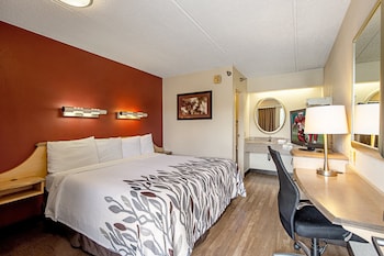 Standard Room, 1 King Bed, Non Smoking