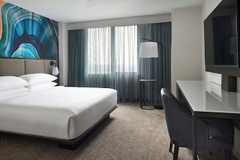 Room, 1 King Bed (Mobility Accessible, Roll-In Shower)