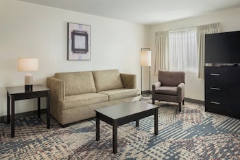 Suite, 1 King Bed with Sofa bed