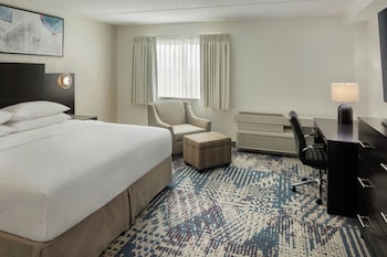 Suite, 1 King Bed with Sofa bed