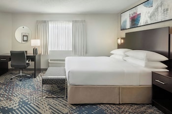 Suite, 1 King Bed with Sofa bed
