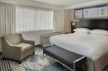 Suite, 1 King Bed with Sofa bed