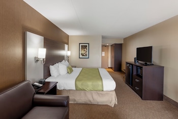 Standard Room, 1 King Bed, Non Smoking (Atrium View;with Sofabed)
