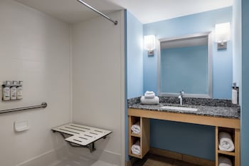 Premium Room, 1 King Bed, Roll-in Shower (Mobility, Roll-In Shower)