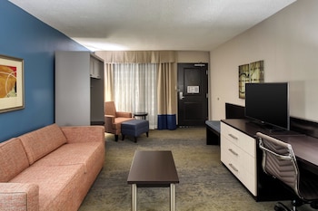 Suite, 1 King Bed (Additional Living Area)
