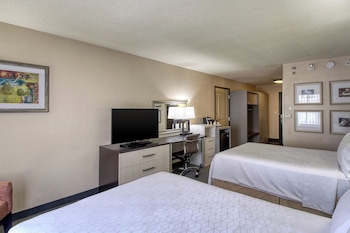 Standard Room, 1 Twin Bed, Roll-in Shower (Communications, Roll-In Shower)