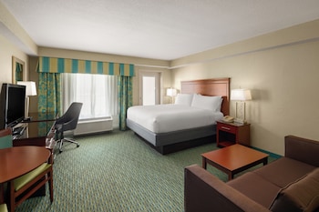 Standard Room, 1 King Bed with Sofa bed