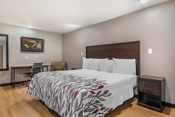 Deluxe Room, 1 King Bed, Smoking