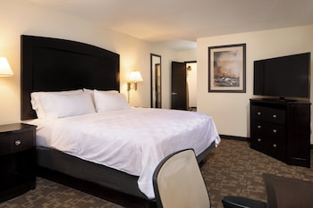 Standard Room, 1 King Bed, Mobility Accessible (Communications)