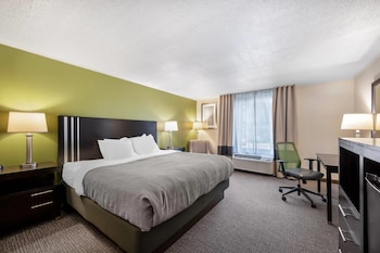 Standard Room, 1 King Bed, Non Smoking