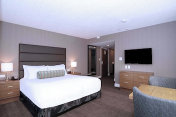 Standard Room, 1 King Bed, Kitchenette