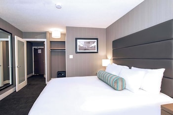 Standard Suite, 1 King Bed with Sofa bed, Kitchenette