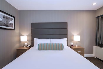 Standard Suite, 1 King Bed with Sofa bed, Kitchenette