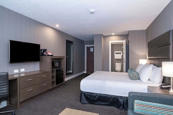 Standard Room, 1 King Bed with Sofa bed