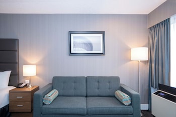 Standard Room, 1 King Bed with Sofa bed