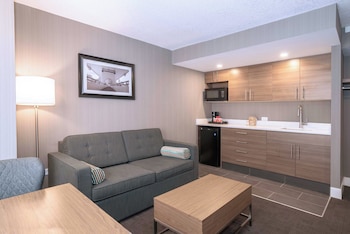 Standard Suite, 1 King Bed with Sofa bed, Kitchenette