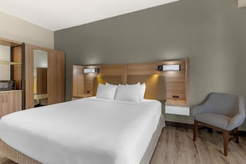 Standard Room, 1 King Bed, Accessible, Non Smoking