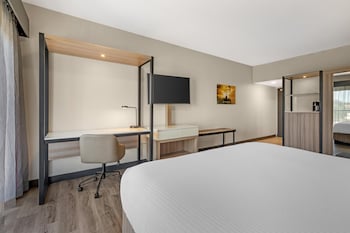 Standard Room, 1 King Bed, Non Smoking, Refrigerator & Microwave