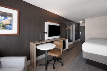 Room, 1 King Bed, Non Smoking