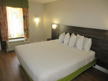 Suite, 1 King Bed, Non Smoking (with Sofabed)