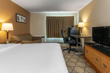 Standard Room, 1 Queen Bed with Sofa bed, Ground Floor