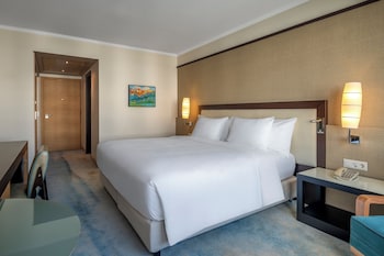 King Guest Room