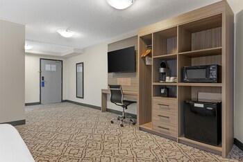 Standard Room, 1 King Bed, Accessible, Refrigerator & Microwave (Walk-in Shower;with Sofabed)