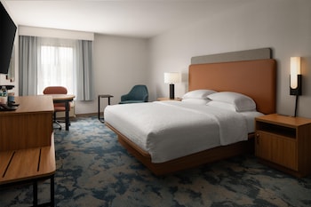 Room, 1 King Bed (Shower Only)
