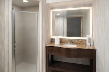 Room, 1 King Bed (Shower Only)