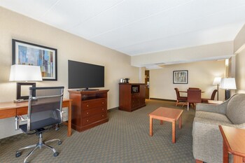 Suite, 1 King Bed, Non Smoking, Refrigerator & Microwave (with Sofabed)