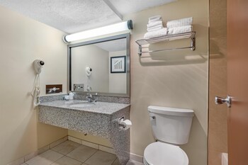 Suite, 1 King Bed, Non Smoking, Refrigerator & Microwave (with Sofabed)