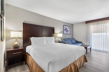 Standard Room, 1 King Bed, Non Smoking, Refrigerator & Microwave (with Sofabed)