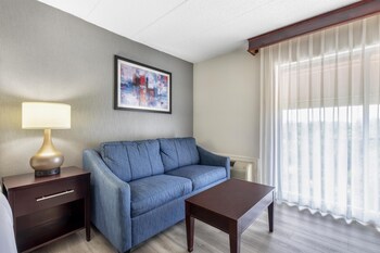 Standard Room, 1 King Bed, Non Smoking, Refrigerator & Microwave (with Sofabed)