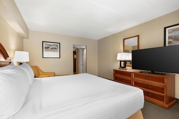 Suite, 1 King Bed, Non Smoking, Refrigerator & Microwave (with Sofabed)