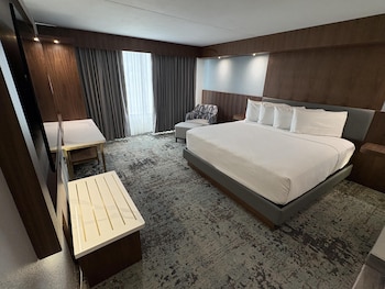 Standard Room, 1 King Bed, Accessible, Non Smoking