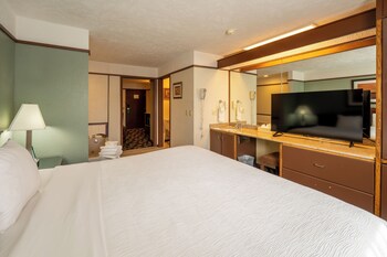 Standard Suite, 1 King Bed with Sofa bed, Non Smoking, Jetted Tub