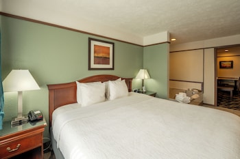 Standard Suite, 1 King Bed with Sofa bed, Non Smoking, Jetted Tub
