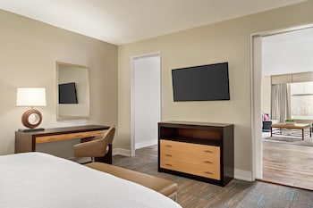 Suite, 1 King Bed with Sofa bed