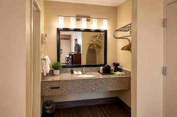Single Room, 1 King Bed