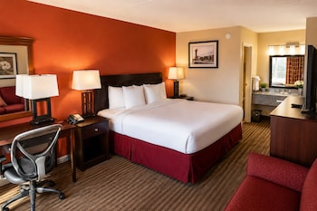 Single Room, 1 King Bed
